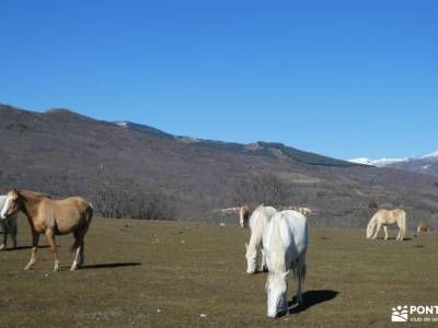 Rincones,Pueblos,Sierra Norte de Madrid; actividades ocio madrid senderismo gredos trekking pirineos